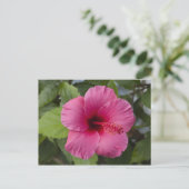 USA, Hawaii, Oahu. Der Hibiskus ist der 2 Postkarte (Stehend Vorderseite)
