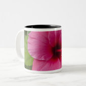 USA, Hawaii, Oahu. Der Hibiskus ist der 2 Zweifarbige Tasse (Vorderseite Links)