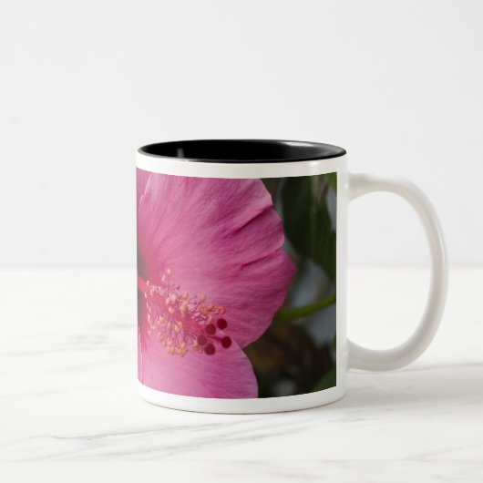 USA, Hawaii, Oahu. Der Hibiskus ist der 2 Zweifarbige Tasse (Rechts)