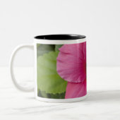 USA, Hawaii, Oahu. Der Hibiskus ist der 2 Zweifarbige Tasse (Links)
