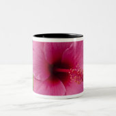 USA, Hawaii, Oahu. Der Hibiskus ist der 2 Zweifarbige Tasse (Mittel)