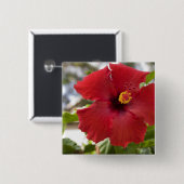 USA, Hawaii, Oahu. Der Hibiskus ist der Button (Vorne & Hinten)
