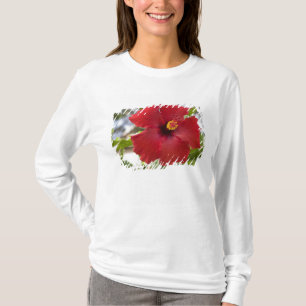USA, Hawaii, Oahu. Der Hibiskus ist der T-Shirt