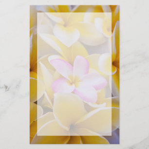 USA, Hawaii, Oahu, Plumeria Blume in Blüte 1 Briefpapier