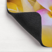 USA, Hawaii, Oahu, Plumeria Blume in Blüte 1 Mousepad (Ecke)