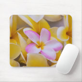 USA, Hawaii, Oahu, Plumeria Blume in Blüte 1 Mousepad (Mit Mouse)