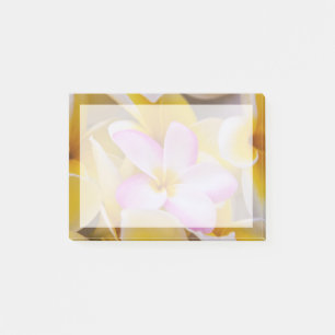 USA, Hawaii, Oahu, Plumeria Blume in Blüte 1 Post-it Klebezettel