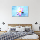 USA, Hawaii, Oahu, Plumeria Blume in Blüte 2 Leinwanddruck (Insitu (Schlafzimmer))