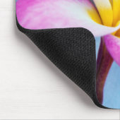 USA, Hawaii, Oahu, Plumeria Blume in Blüte 2 Mousepad (Ecke)