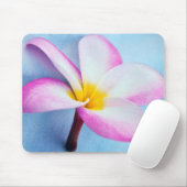 USA, Hawaii, Oahu, Plumeria Blume in Blüte 2 Mousepad (Mit Mouse)