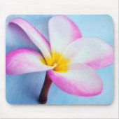 USA, Hawaii, Oahu, Plumeria Blume in Blüte 2 Mousepad (Vorne)