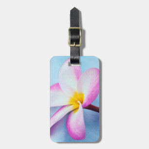 USA, Hawaii, Oahu, Plumeria-Blüten in Blüte 2 Gepäckanhänger