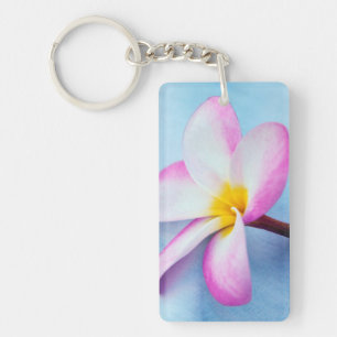 USA, Hawaii, Oahu, Plumeria-Blüten in Blüte 2 Schlüsselanhänger