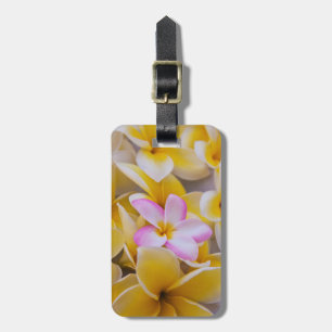 USA, Hawaii, Oahu, Plumerien in Blüte 1 Gepäckanhänger