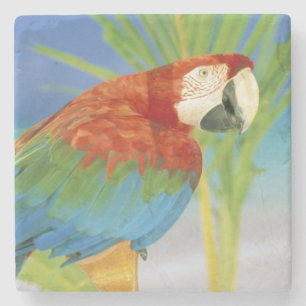 USA, Hawaii. Papagei Steinuntersetzer