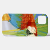USA, Hawaii. Paprot Case-Mate iPhone Hülle (Rückseite (Horizontal))