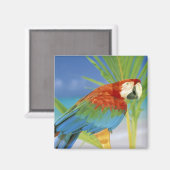 USA, Hawaii. Paprot Magnet (Vorderseite/Rückseite)