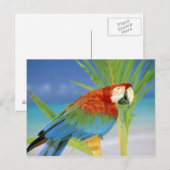 USA, Hawaii. Paprot Postkarte (Vorne/Hinten)