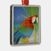 USA, Hawaii. Paprot Silbernes Ornament (Rechts)