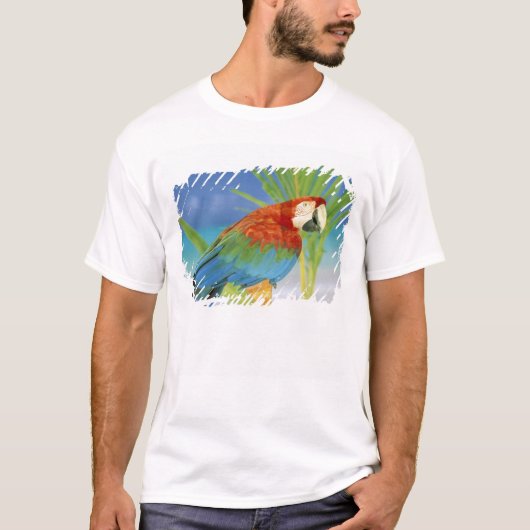 USA, Hawaii. Paprot T-Shirt (Vorderseite)