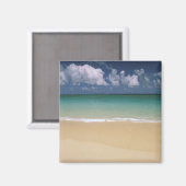 USA, Hawaii. Strand-Szene Magnet (Vorderseite/Rückseite)
