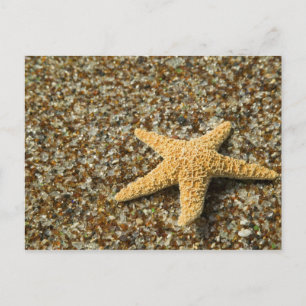 USA, HI, Kauai, Glass Beach mit Seestern Postkarte