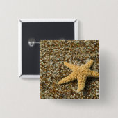 USA, HI, Kauai, Glass Beach mit Star-Fisch Button (Vorne & Hinten)