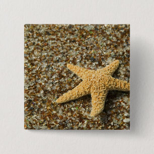 USA, HI, Kauai, Glass Beach mit Star-Fisch Button