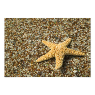 USA, HI, Kauai, Glass Beach mit Star-Fisch Fotodruck