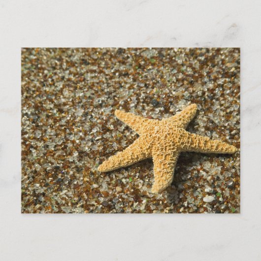 USA, HI, Kauai, Glass Beach mit Star-Fisch Postkarte (Vorderseite)