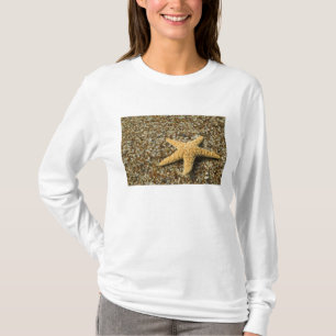 USA, HI, Kauai, Glass Beach mit Star-Fisch T-Shirt