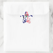 USA Hope Beautiful Phantastisch National Flag Desi Stern-Aufkleber (Tasche)