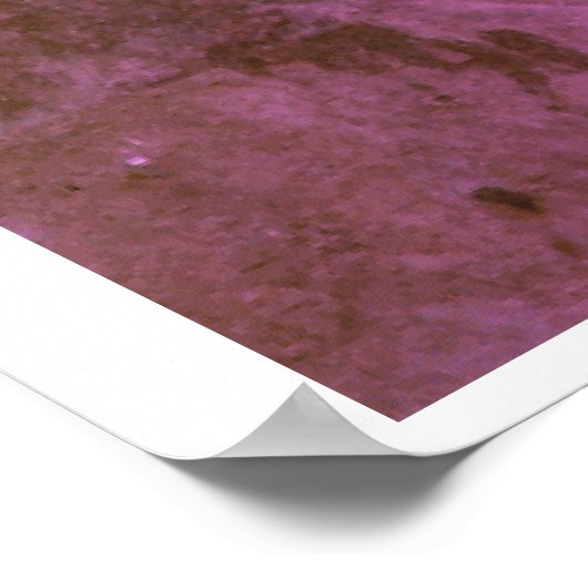 USA Hope Have a Nice Day & a Better Nigge Poster (Ecke)