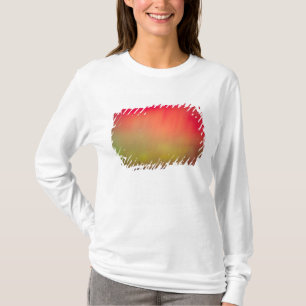 USA, Idaho. Aurora borealis, Nordlicht um 2 T-Shirt