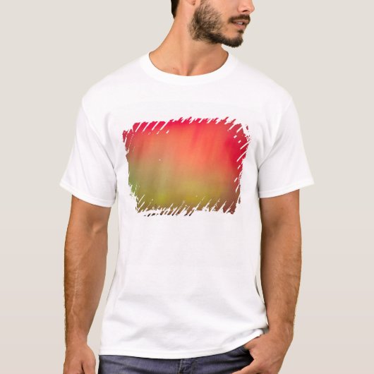 USA, Idaho. Aurora borealis, Nordlichter bei 2 T-Shirt