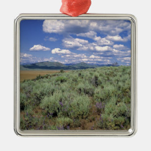 USA, Idaho, Camas Co. Beifuß und Lupine Ornament Aus Metall