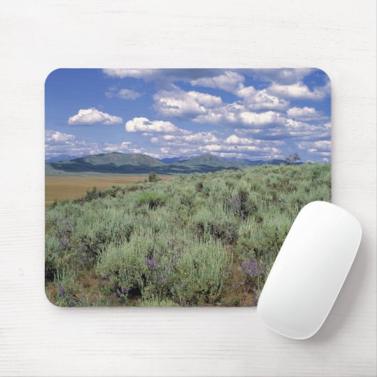 USA, Idaho, Camas Co. Sagebrush und Lupine Mousepad (Mit Mouse)