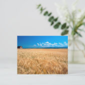 USA, Idaho. Gerstenfeld Postkarte (Stehend Vorderseite)