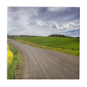 USA, Idaho, Idaho County, Rapsfeld Fliese