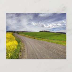 USA, Idaho, Idaho County, Rapsfeld Postkarte