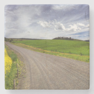 USA, Idaho, Idaho County, Rapsfeld Steinuntersetzer