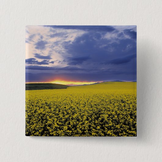 USA, Idaho, Swan Valley. Ein feuriger Sonnenunterg Button (Vorderseite)