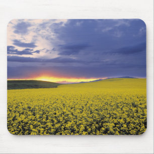USA, Idaho, Swan Valley. Ein feuriger Sonnenunterg Mousepad