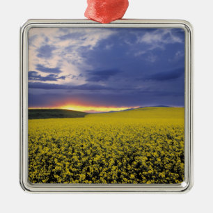 USA, Idaho, Swan Valley. Ein feuriger Sonnenunterg Silbernes Ornament