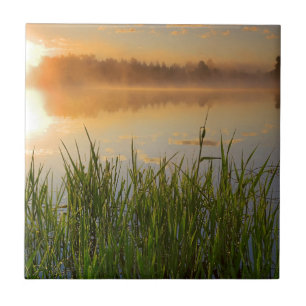 USA, Idaho, Winchester Lake State Park, Lapwai Fliese
