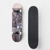 USA, Illinois, Chicago, Luftaufnahme von See Skateboard (Vorderseite)