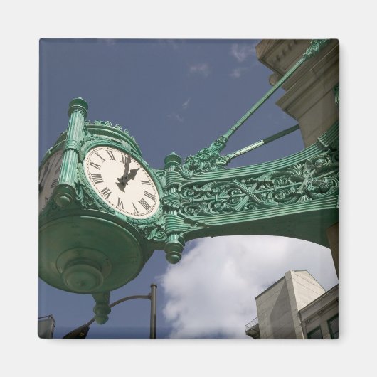USA, Illinois, Chicago: The Loop: North State Magnet (Vorne)