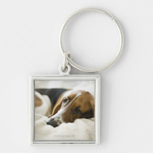 USA, Illinois, Washington, Porträt des Bassets Schlüsselanhänger
