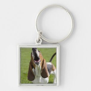 USA, Illinois, Washington, Porträt des Bassets Schlüsselanhänger