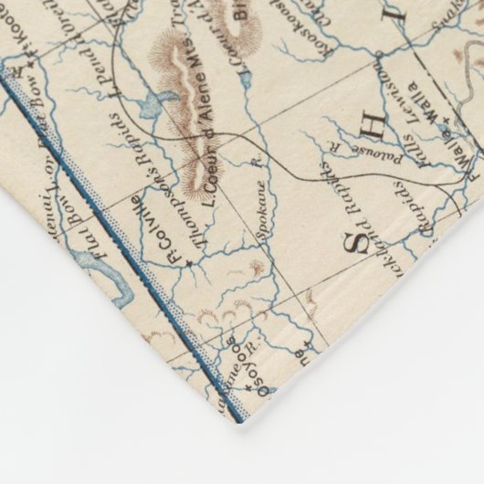 USA im Dezember 1860 Fleecedecke (Ecke)